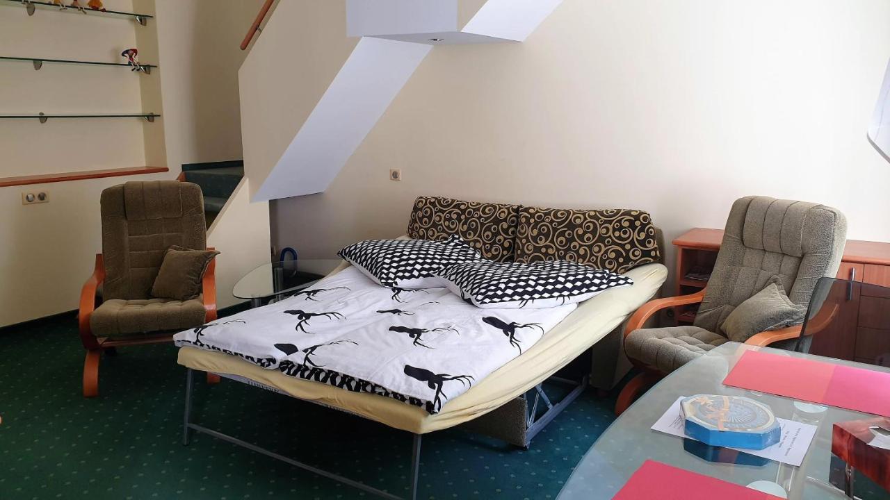 Spa Apartment Raisova カルロヴィ・ヴァリ エクステリア 写真